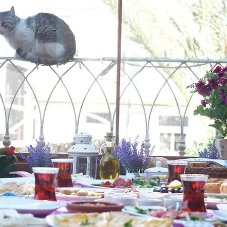 Fikretbey Konagi Hotel 5*