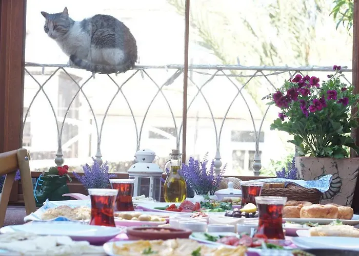 Fikretbey Konagi Hotel 5*